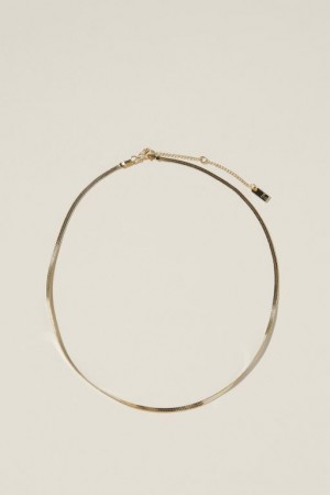 Cotton On Fine Chain Necklace Women's Jewellery Gold | zU6xUI9upWk