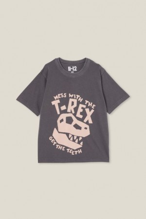 Cotton On Jono Short Sleeve Print Boys' T Shirts Grey | go2Uhrsjmul