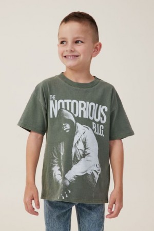 Cotton On License Drop Shoulder Short Sleeve Boys' T Shirts Green | Ayb1HgEahPU