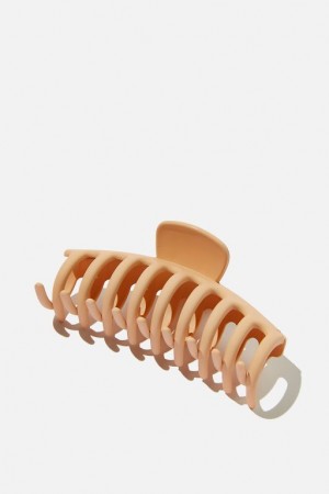 Cotton On Rachel Hair Claw Women's Hair Accessories Beige | bTffrOq2zJD