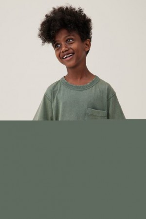Cotton On The Essential Short Sleeve Boys' T Shirts Green Wash | YLAnuPoHPaX