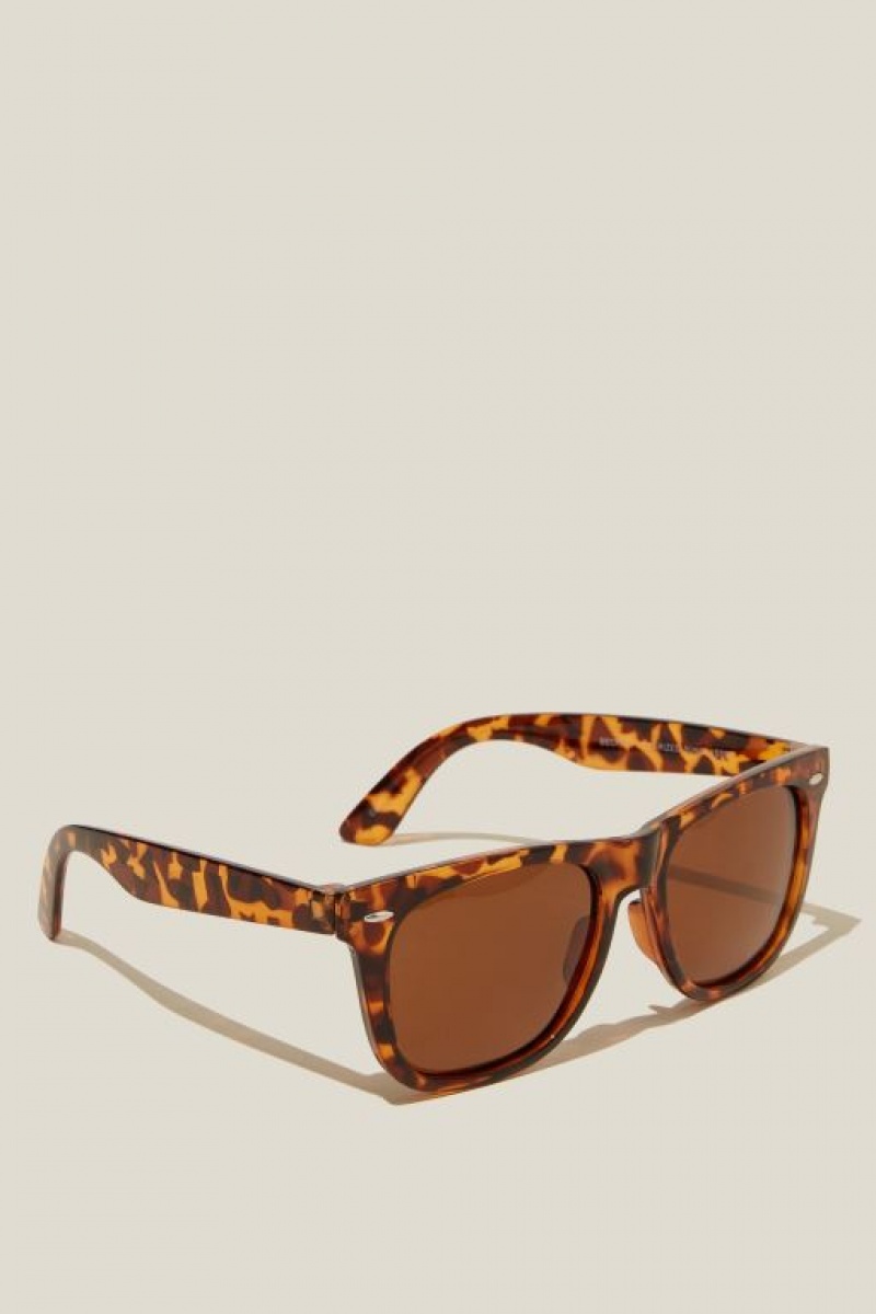 Cotton On Beckley Polarized Men's Sunglasses Brown | awX7OjvVgj1