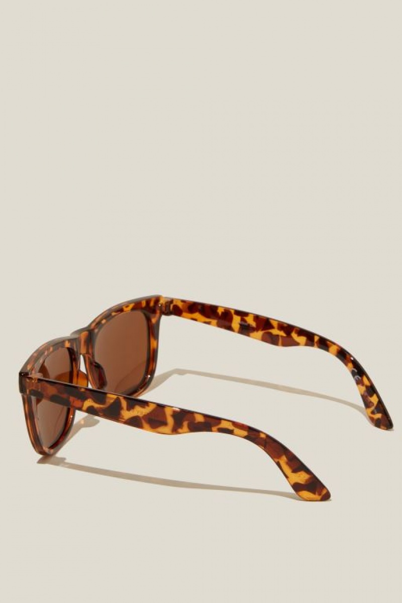 Cotton On Beckley Polarized Men's Sunglasses Brown | awX7OjvVgj1