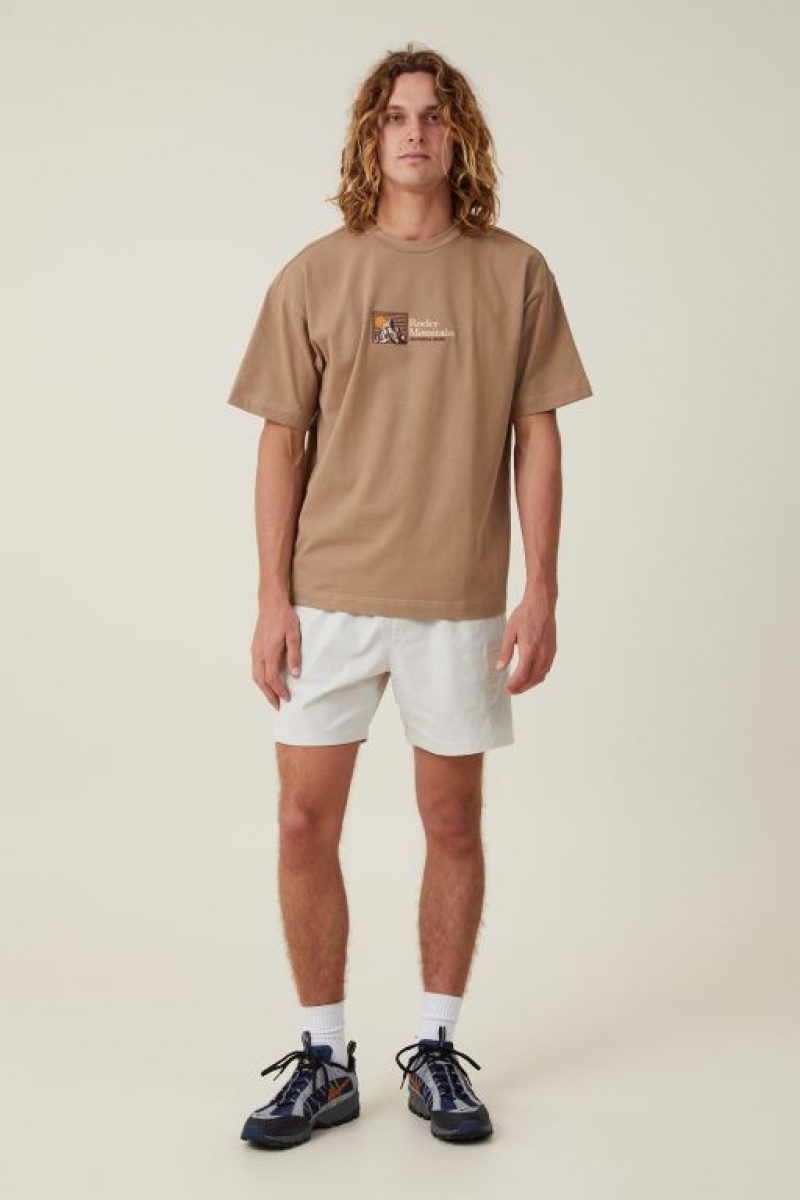 Cotton On Box Fit Men's Graphic T-Shirts Grey Brown | fYytRgaC5cn