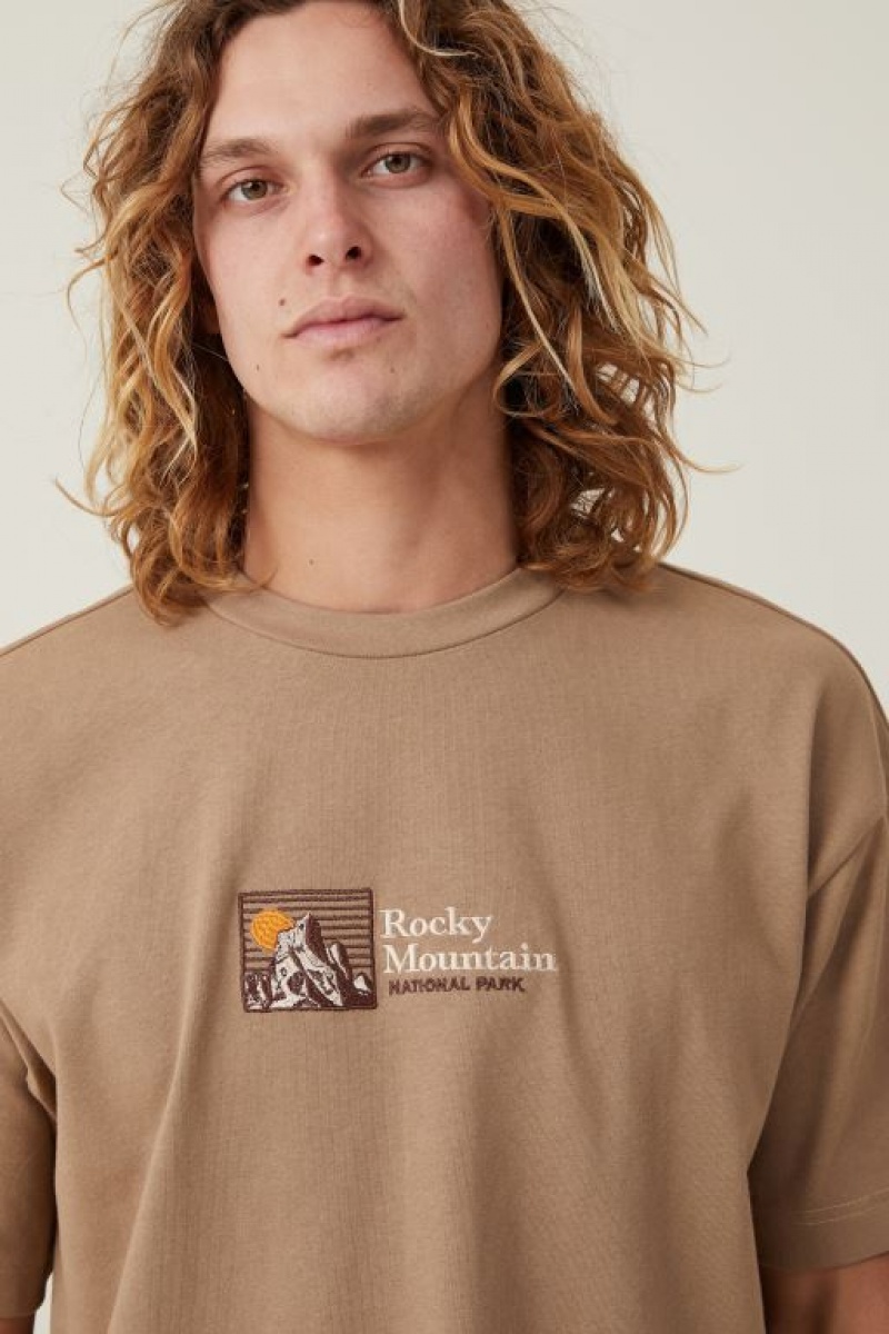 Cotton On Box Fit Men's Graphic T-Shirts Grey Brown | fYytRgaC5cn