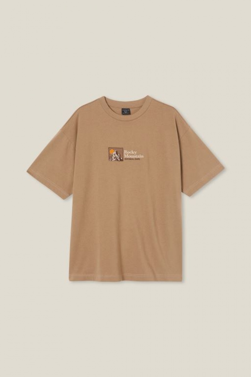 Cotton On Box Fit Men's Graphic T-Shirts Grey Brown | fYytRgaC5cn