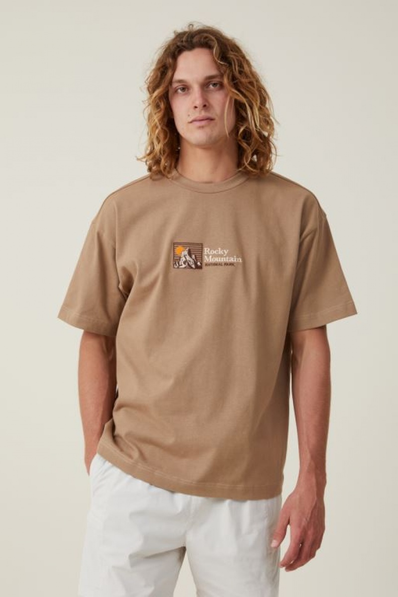 Cotton On Box Fit Men\'s Graphic T-Shirts Grey Brown | fYytRgaC5cn