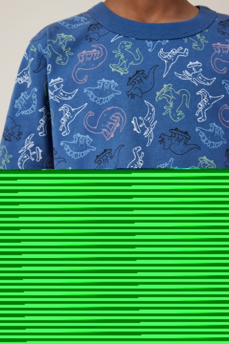 Cotton On Jonny Short Sleeve Print Boys' T Shirts Blue | ZSFTHy4J9RH