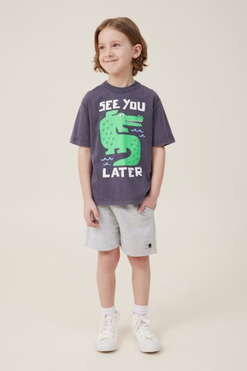 Cotton On Jonny Short Sleeve Print Boys' T Shirts Grey | KYOc3B1lRbi
