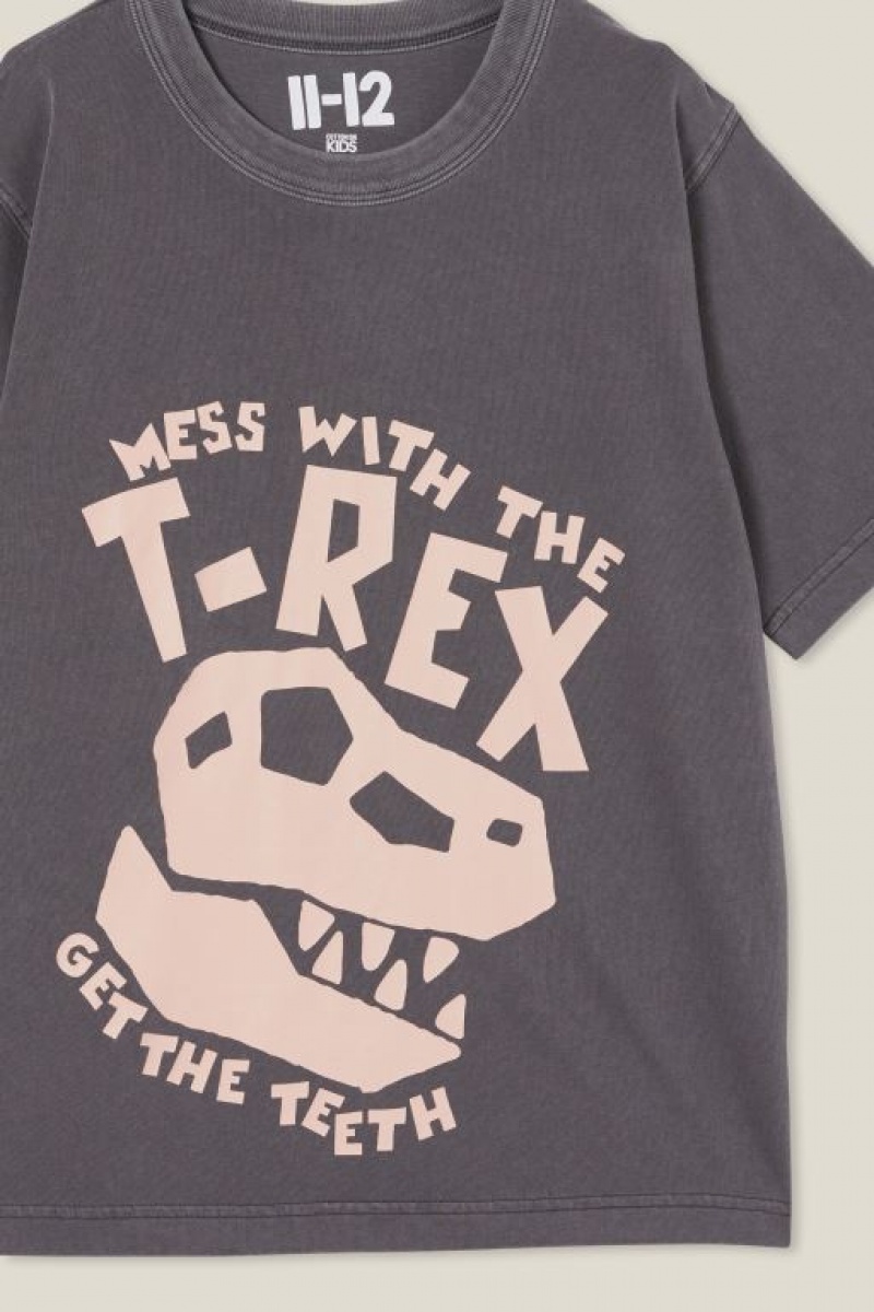 Cotton On Jono Short Sleeve Print Boys' T Shirts Grey | go2Uhrsjmul
