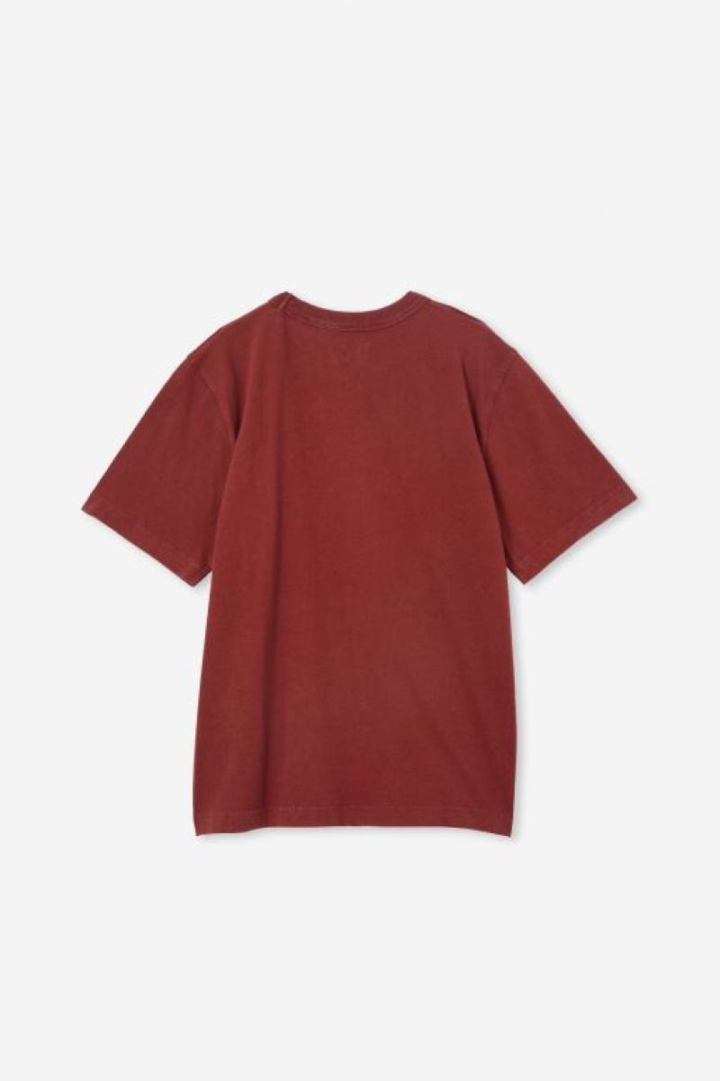 Cotton On Jono Short Sleeve Print Boys' T Shirts Henna | ejq13yiefFq