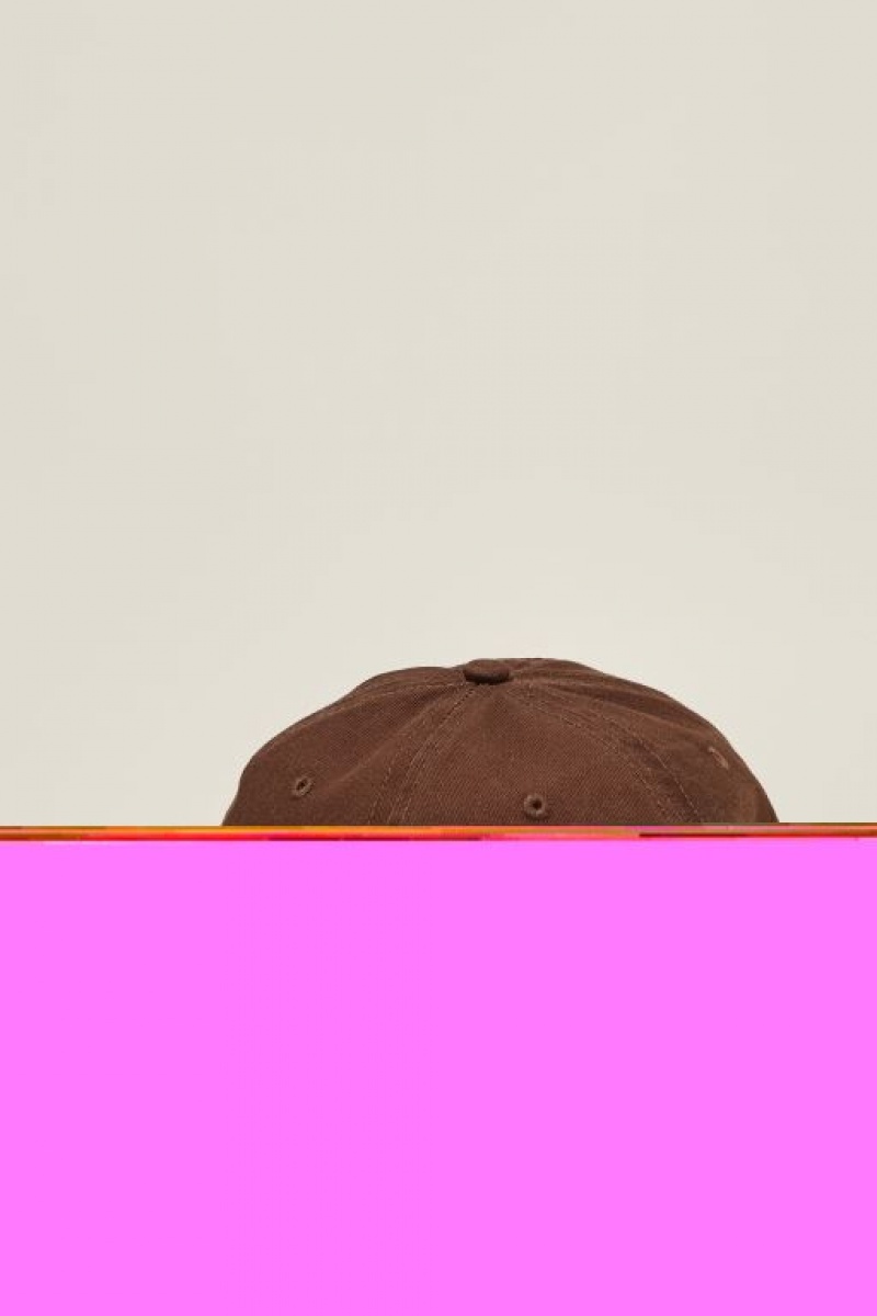 Cotton On King Stringray 5 Panel Graphic Men's Caps Lcn | HMChOvQkEWh