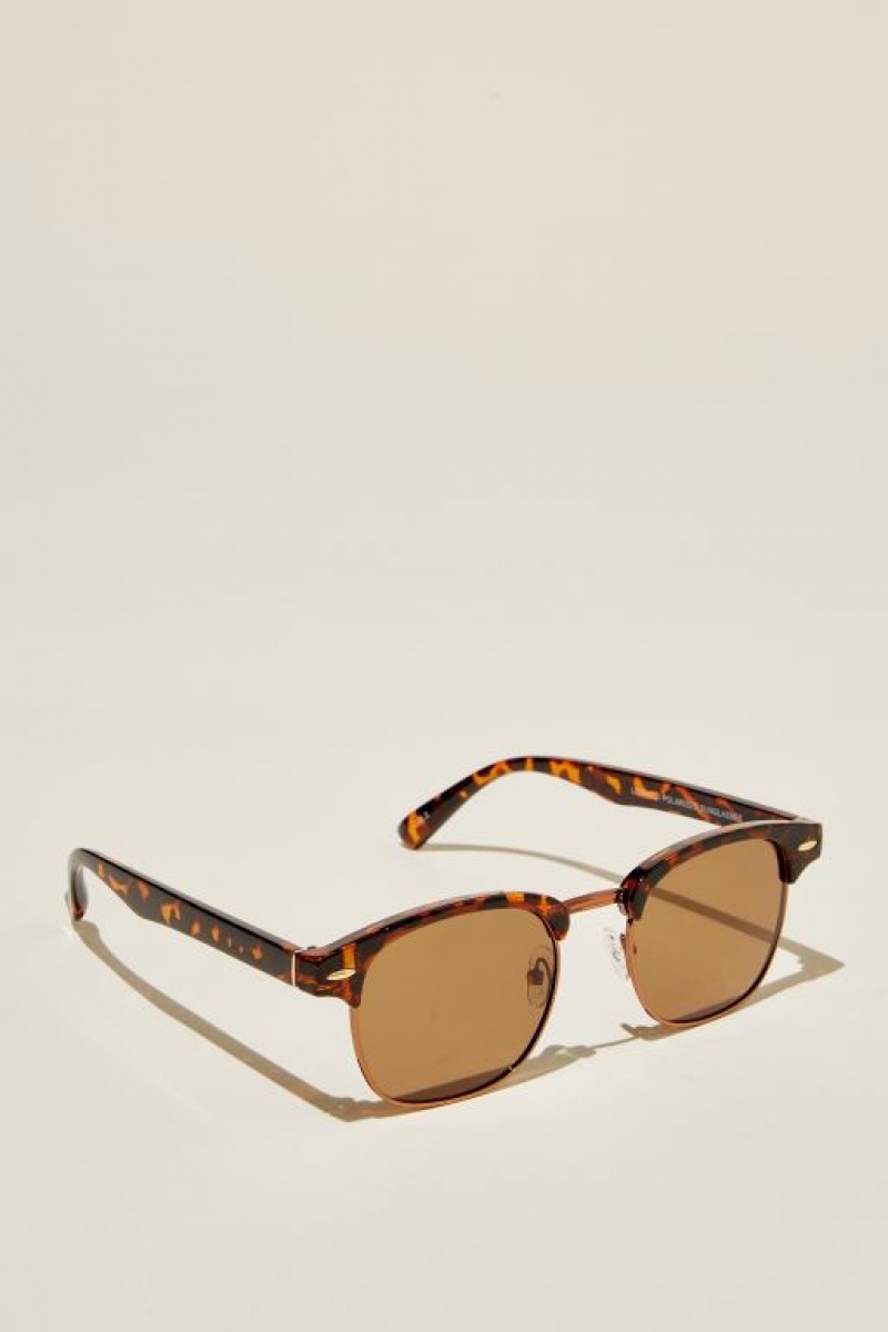 Cotton On Leopold Polarized Men's Sunglasses Dark Brown / Brown | x9j5z6mnYVG