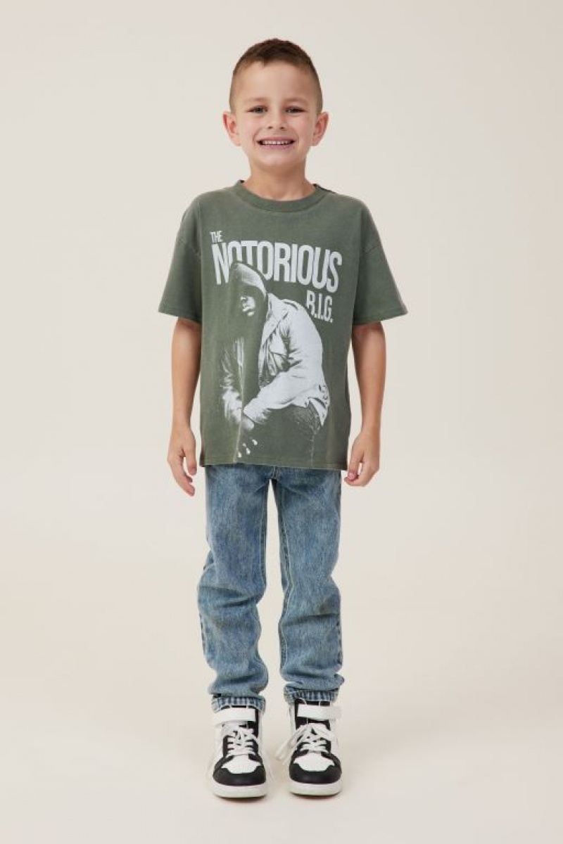 Cotton On License Drop Shoulder Short Sleeve Boys' T Shirts Green | Ayb1HgEahPU