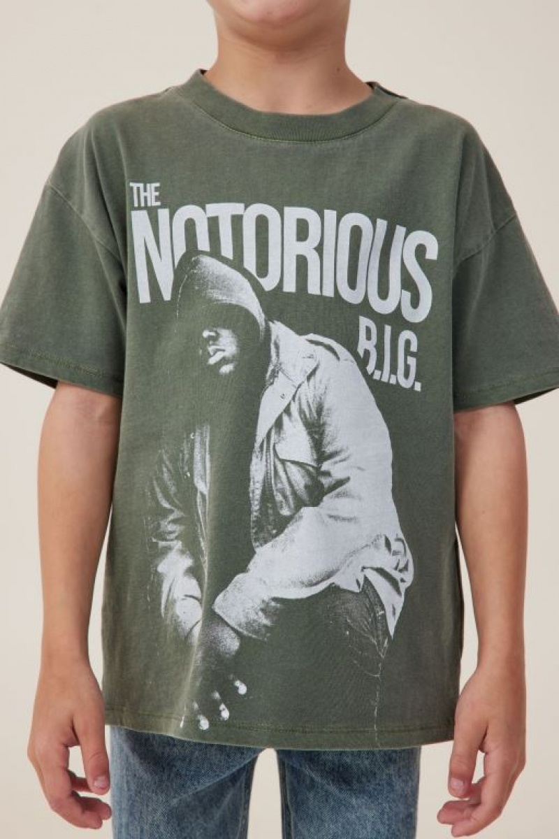 Cotton On License Drop Shoulder Short Sleeve Boys' T Shirts Green | Ayb1HgEahPU