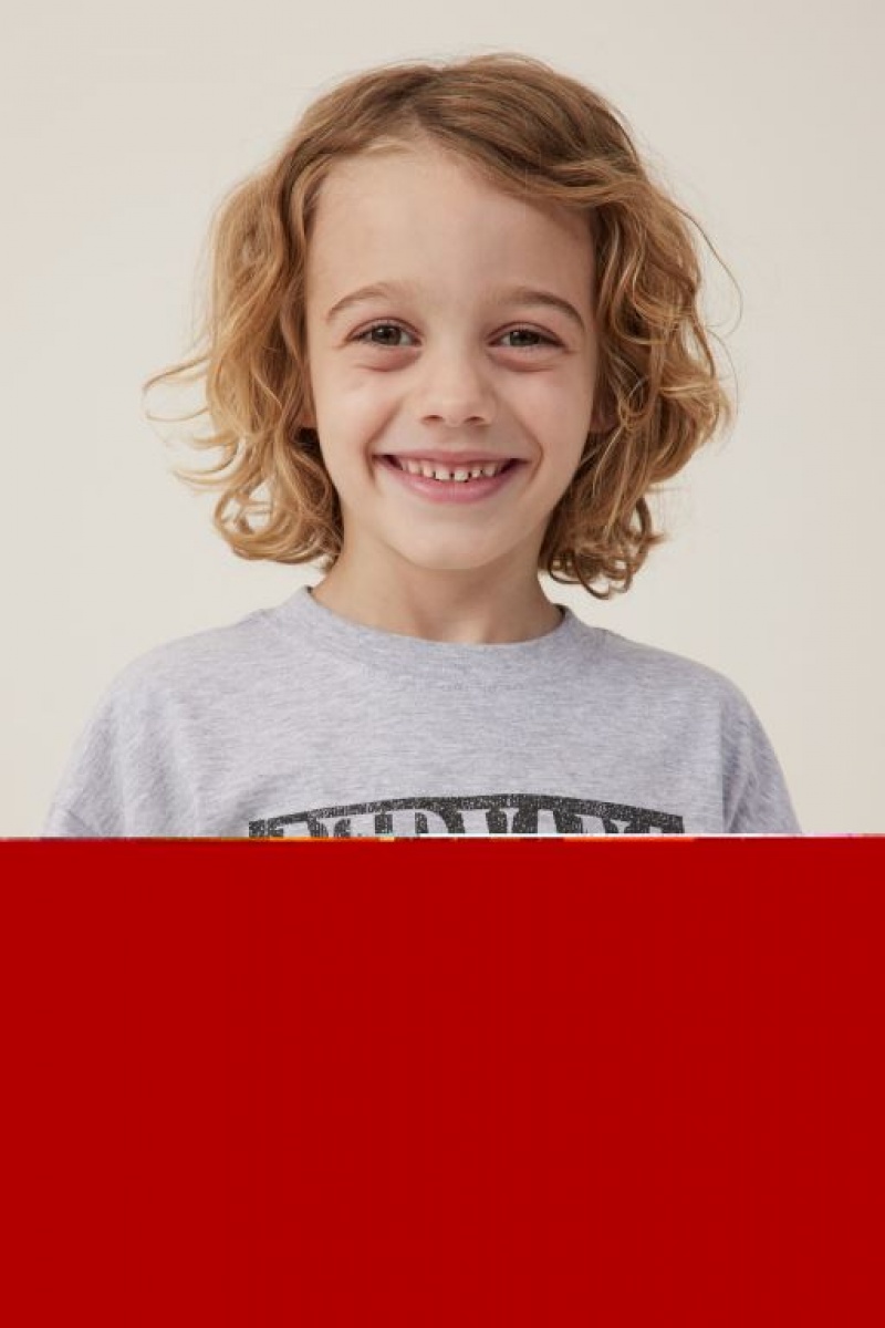 Cotton On License Drop Shoulder Short Sleeve Boys' T Shirts Grey | 0JDMlNjiXUR