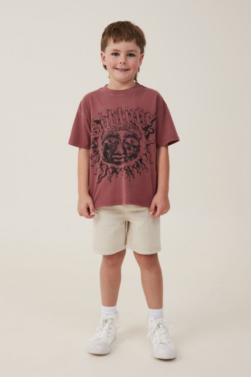 Cotton On License Drop Shoulder Short Sleeve Boys' T Shirts Lcn | rFa7HpHwtHB