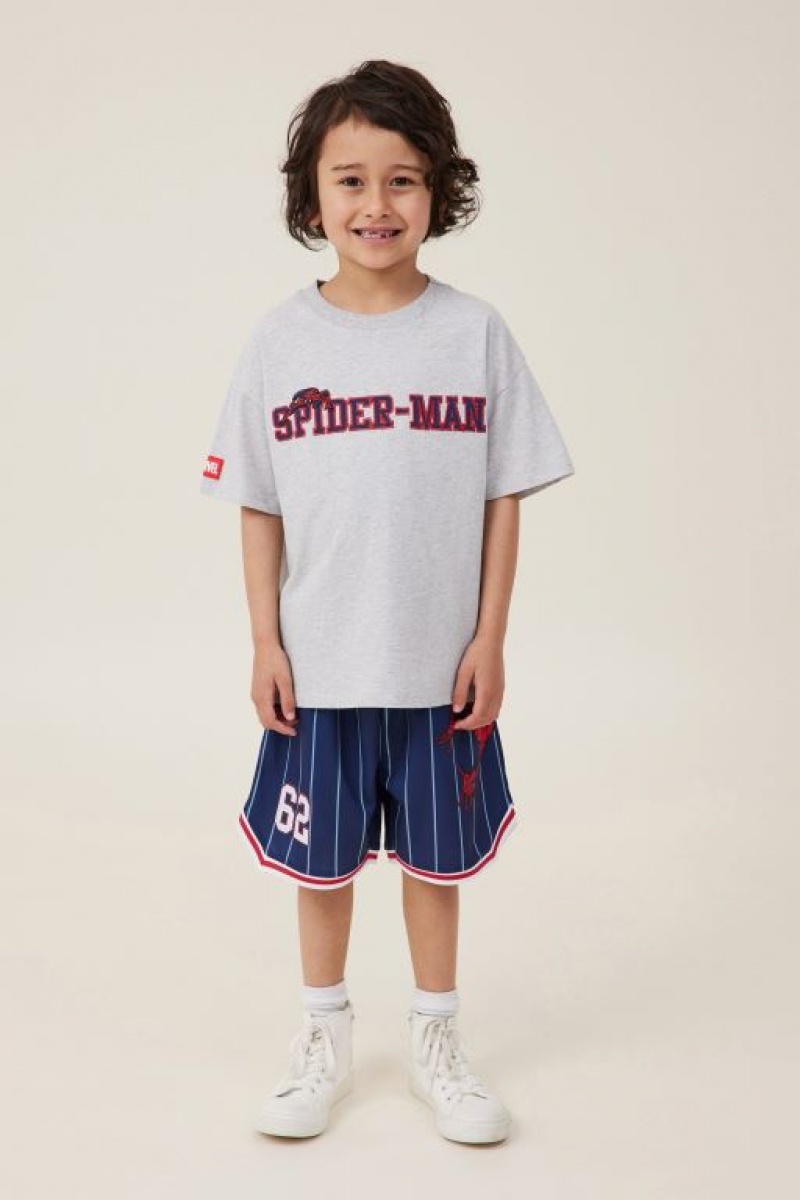 Cotton On License Drop Shoulder Short Sleeve Boys' T Shirts Grey | Qq59FyXMRI9