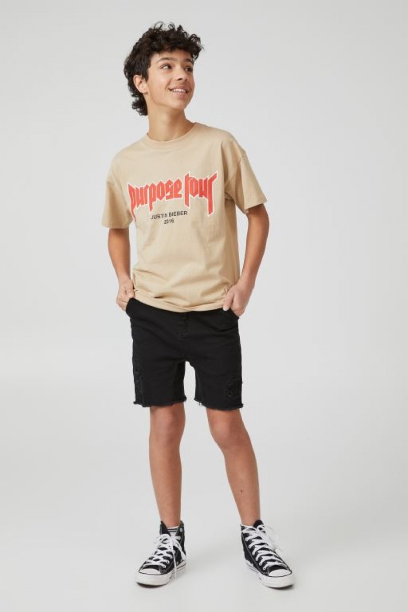 Cotton On License Quinn Short Sleeve Boys\' T Shirts Lcn | feFQSqHZRH5