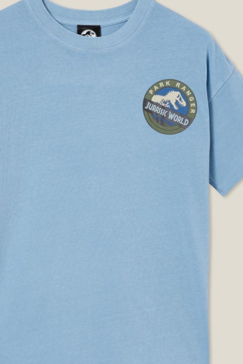 Cotton On License Quinn Short Sleeve Boys' T Shirts Blue | gIijQsCSZyj