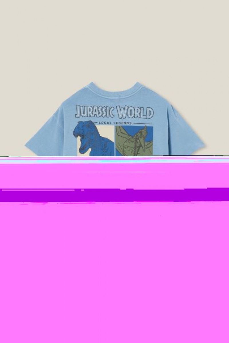 Cotton On License Quinn Short Sleeve Boys' T Shirts Blue | gIijQsCSZyj