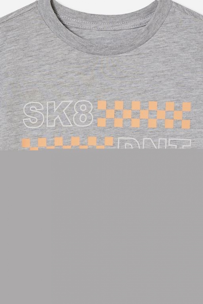 Cotton On Max Skater Short Sleeve Boys' T Shirts Light Grey | wYX3xwicb4i