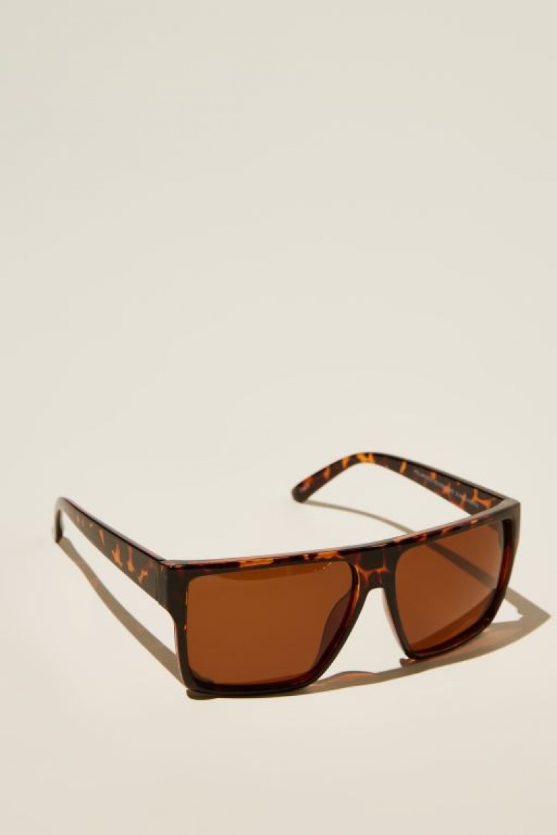 Cotton On Polarized Adventure Men's Sunglasses Brown | neI2DEdjocM