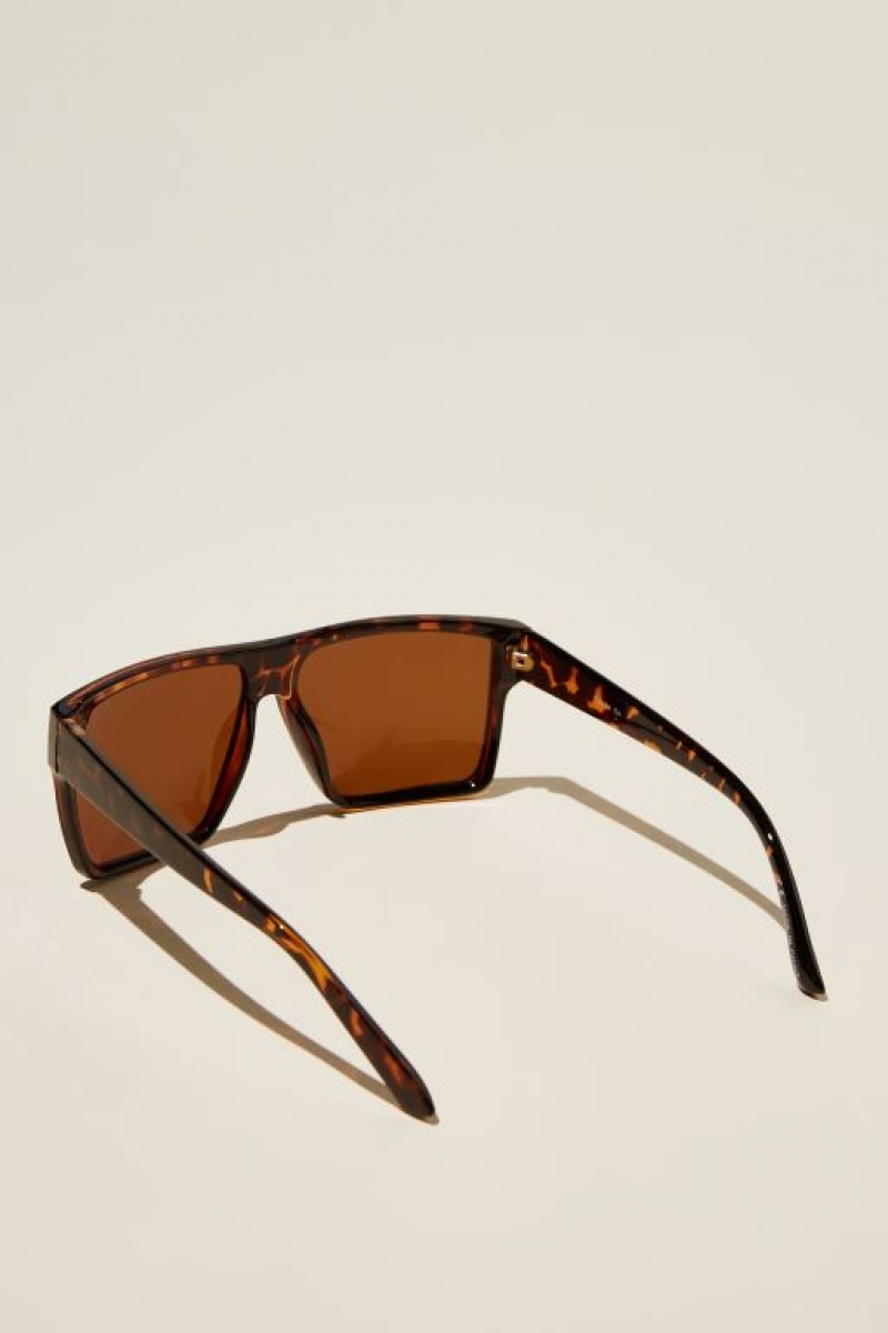 Cotton On Polarized Adventure Men's Sunglasses Brown | neI2DEdjocM