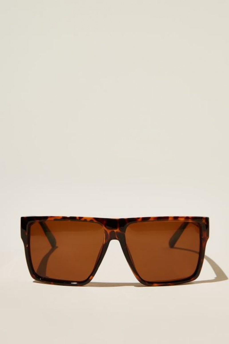 Cotton On Polarized Adventure Men\'s Sunglasses Brown | neI2DEdjocM