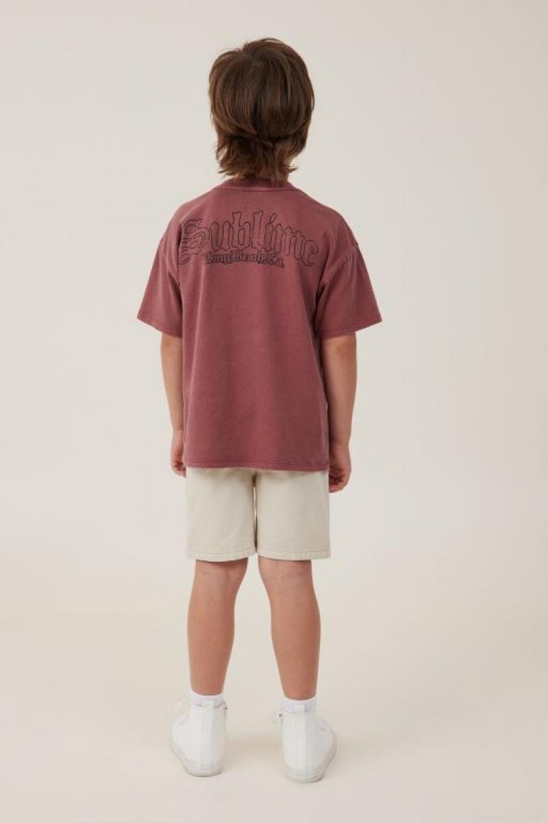 Cotton On Regular Fit Boys' Shorts Albany | riQOkj5rrQS