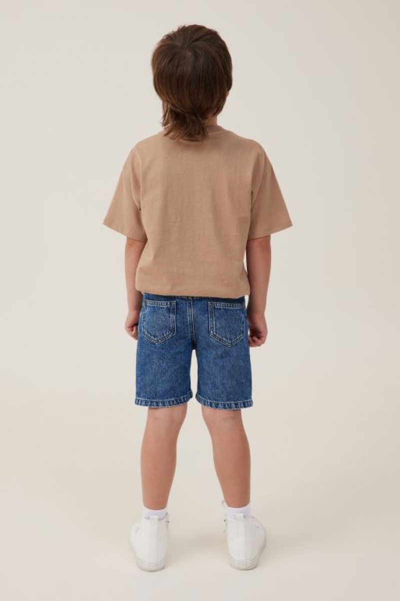 Cotton On Regular Fit Boys' Shorts Blue | k2cI0WHYrLF