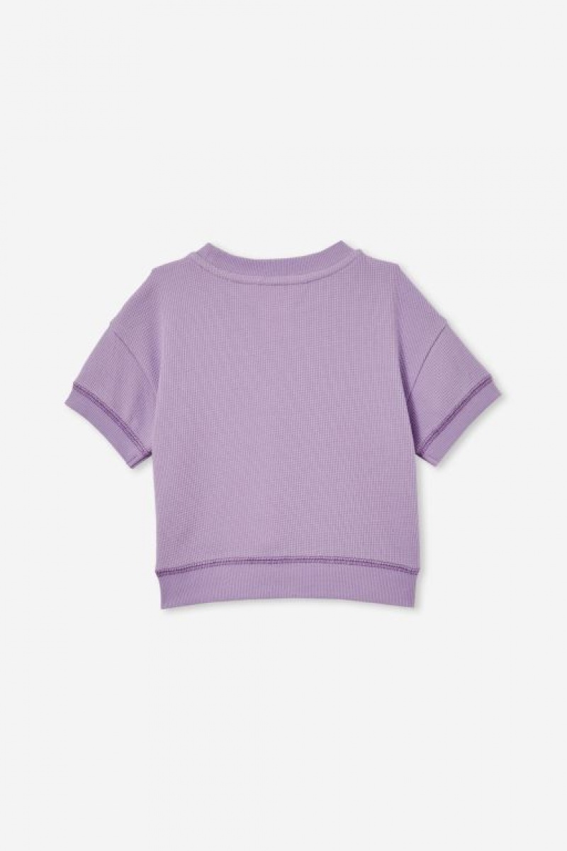 Cotton On Riv Waffle Sweater Baby T Shirts Purple | Pqt586xBQrX
