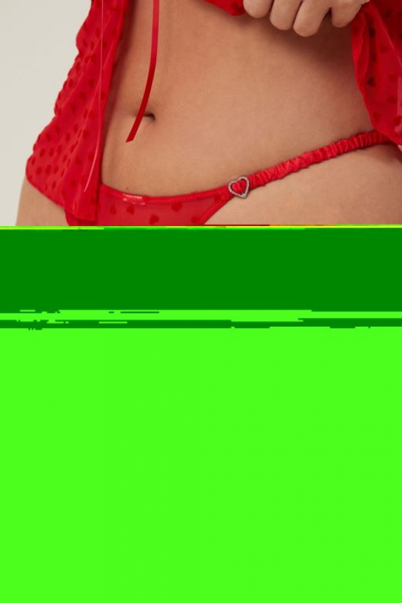 Cotton On Sasha Flocking Mesh Tanga Brief Women's Thong Red | sgDSopRPN9O