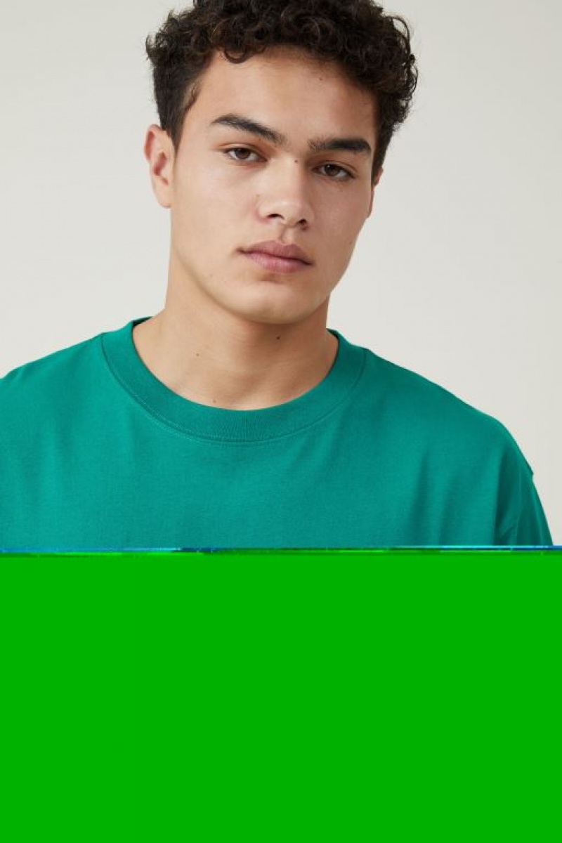Cotton On Short Fit Men's Graphic T-Shirts Green | cp58XHqUzBa