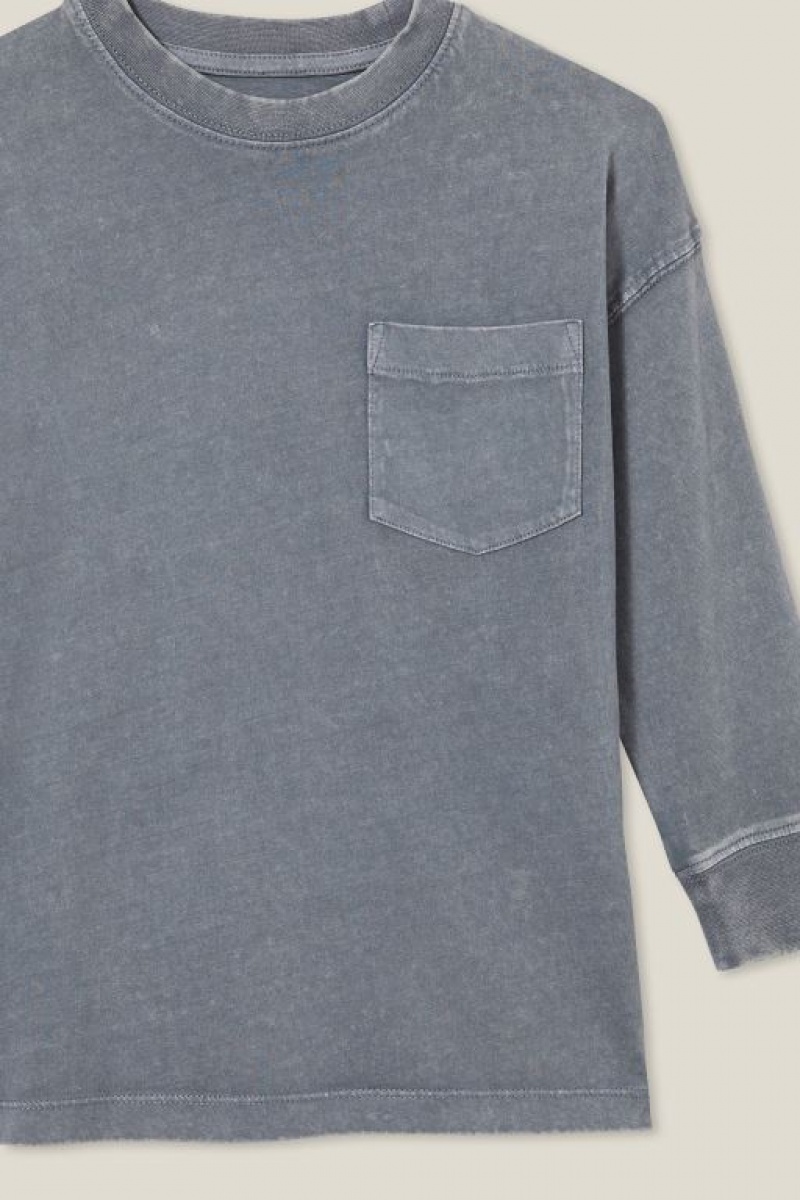 Cotton On The Essential Long Sleeve Boys' T Shirts Grey Wash | DXoRYgXC3l0