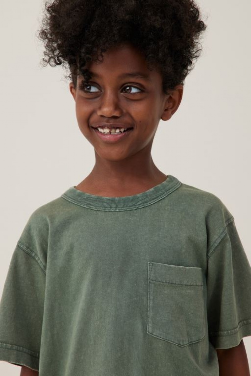 Cotton On The Essential Short Sleeve Boys' T Shirts Green Wash | YLAnuPoHPaX