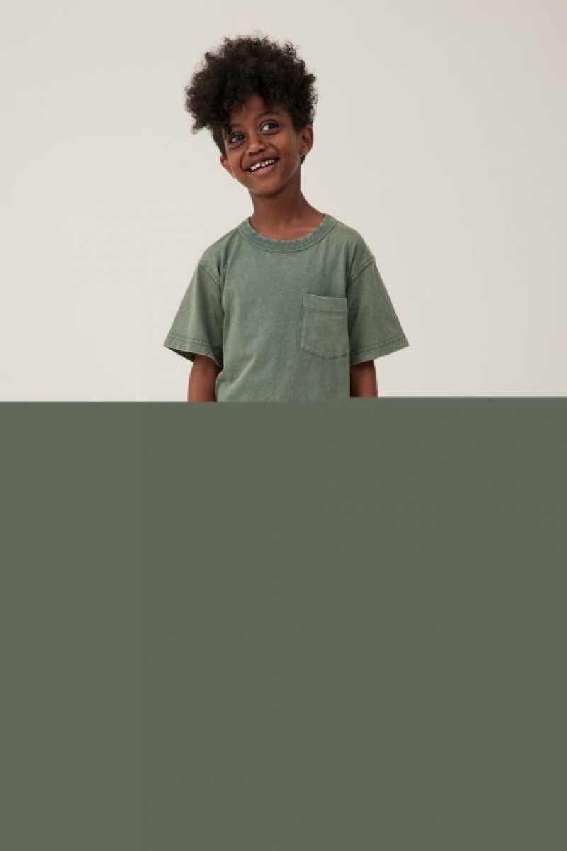 Cotton On The Essential Short Sleeve Boys' T Shirts Green Wash | YLAnuPoHPaX
