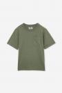 Green Wash